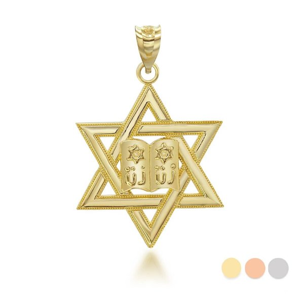 10K Solid Gold Star of David Torah Pendant Charm - Yellow, Rose, or White